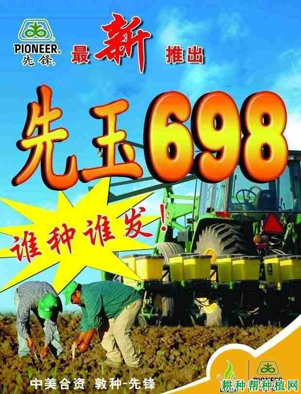 先玉698玉米品种介绍(先玉698玉米种子生育期是多少)